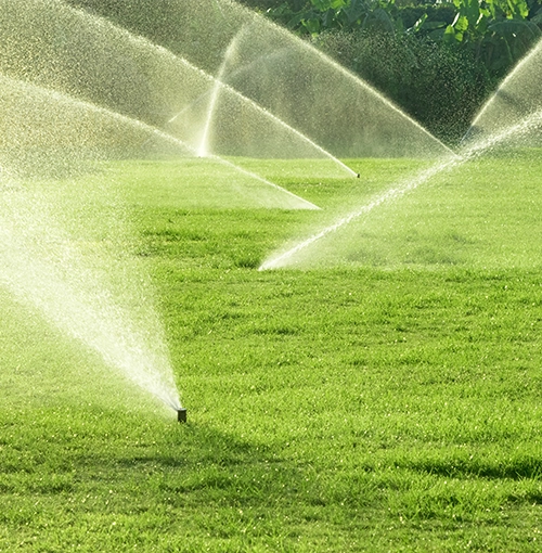 Irrigation & Sprinkler System Installation 2
