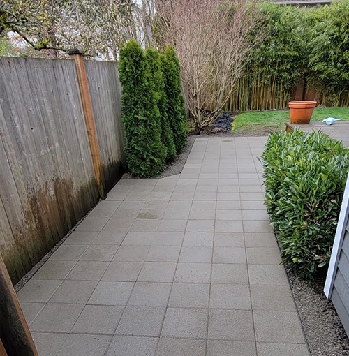 Patio 1